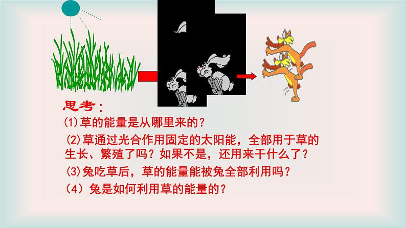 济南版生物八年级下册6.2.3能量流动和物质循环课件第4页