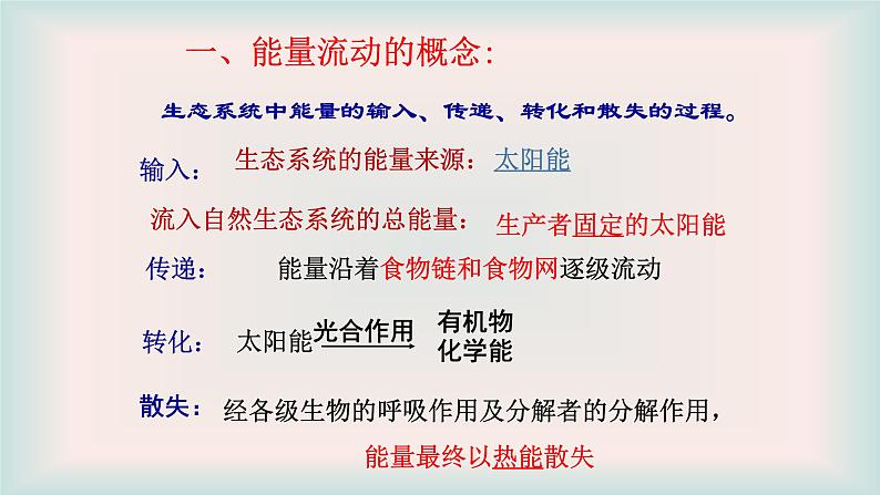 济南版生物八年级下册6.2.3能量流动和物质循环课件第6页