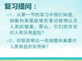 人教版生物八年级上册课件：4.5人类对细菌和真菌的利用（共68张PPT）