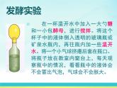 人教版生物八年级上册课件：4.5人类对细菌和真菌的利用（共68张PPT）