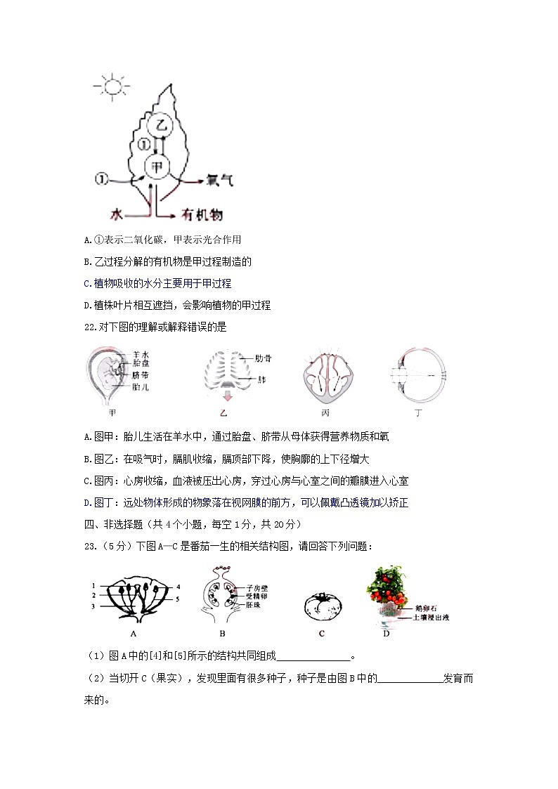 2018年湖北省黄冈市中考生物试题（word版，含答案）03