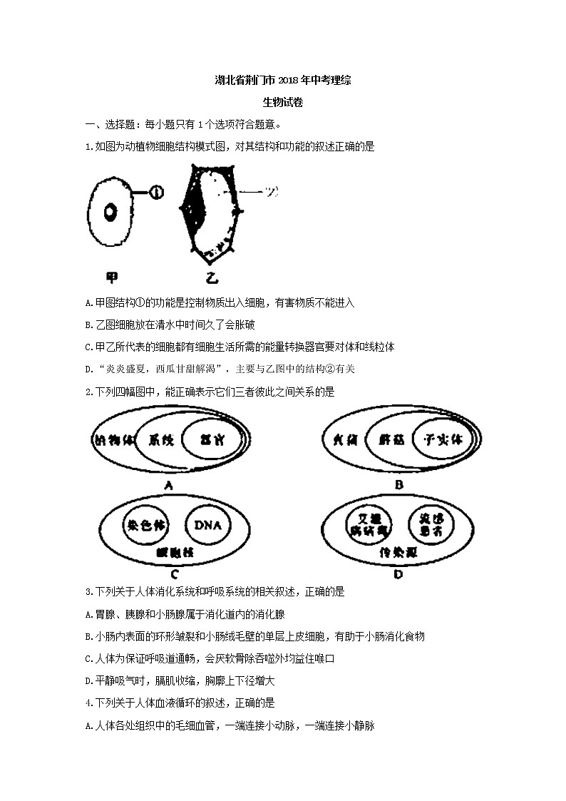 2018年湖北省荆门市中考理综（生物部分）试题（word版，有答案）01
