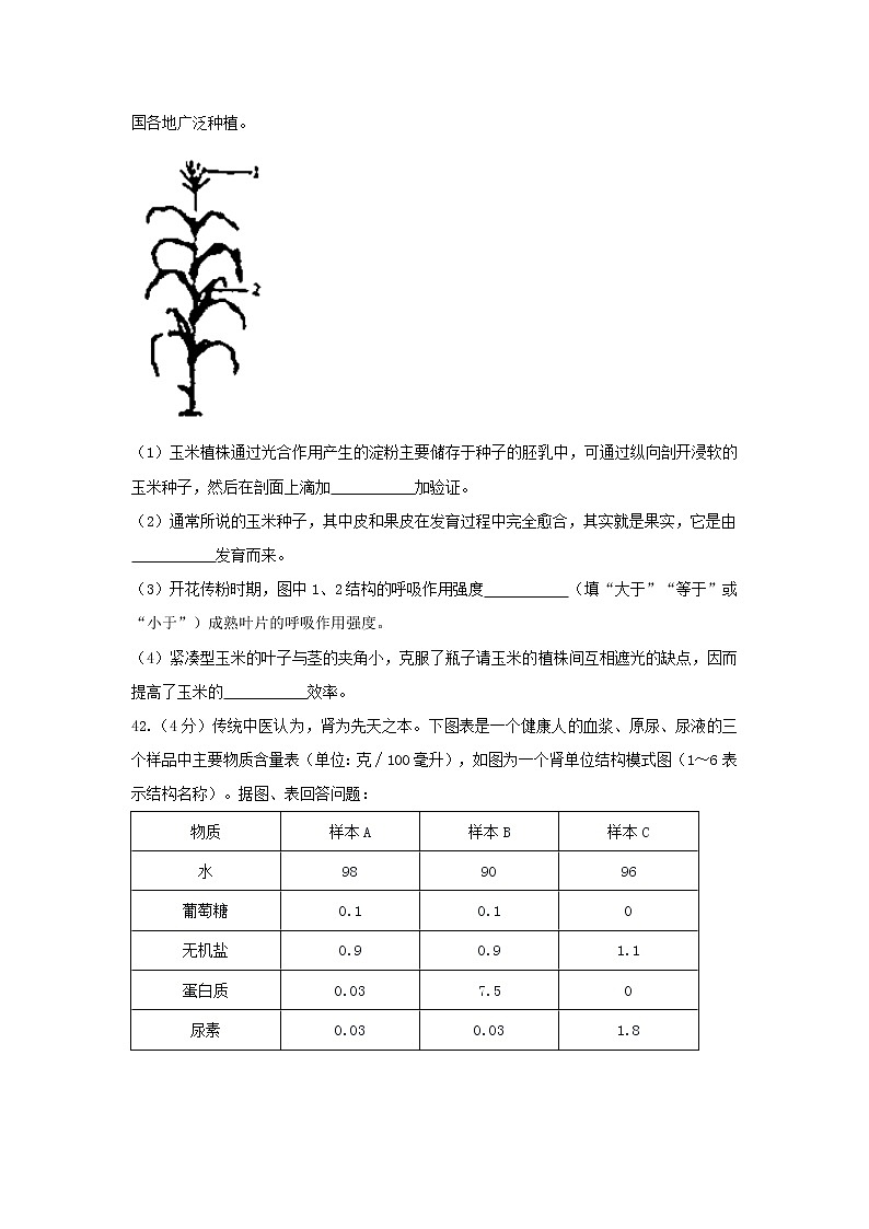 2018年湖北省荆门市中考理综（生物部分）试题（word版，有答案）03