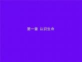 北京版八年级上册生物《动物的运动》授课课件1