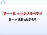 生物的性状表现PPT课件免费下载