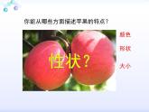 生物的性状表现PPT课件免费下载