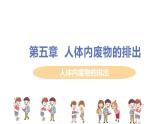2021年初中生物人教版七年级下册  第五章  人体内废物的排出  课件