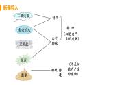 2021年初中生物人教版七年级下册  第五章  人体内废物的排出  课件