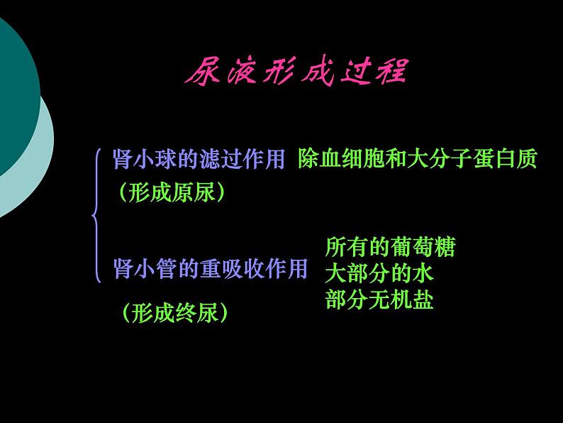 苏科版生物八年级上册6.15.2人体内废物的排出课件第7页