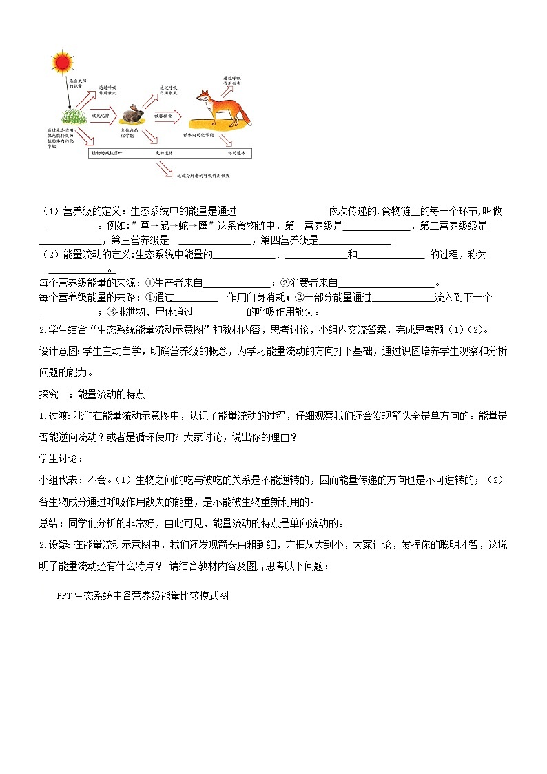 济南版生物八年级下册能量流动和物质循环学案(二)第3页