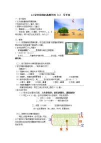 2020-2021学年第二节 绿色植物的蒸腾作用导学案及答案