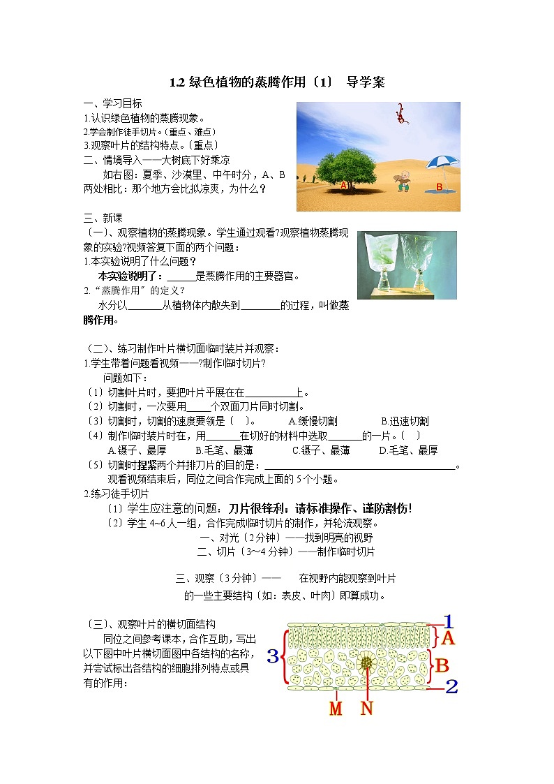 济南版七年级生物上册 1.2绿色植物的蒸腾作用  导学案01