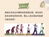 生命的起源PPT课件免费下载