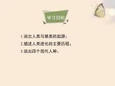 生命的起源PPT课件免费下载