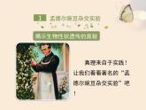 北京版八年级上册生物《生物的性状遗传》第1课时优教课件