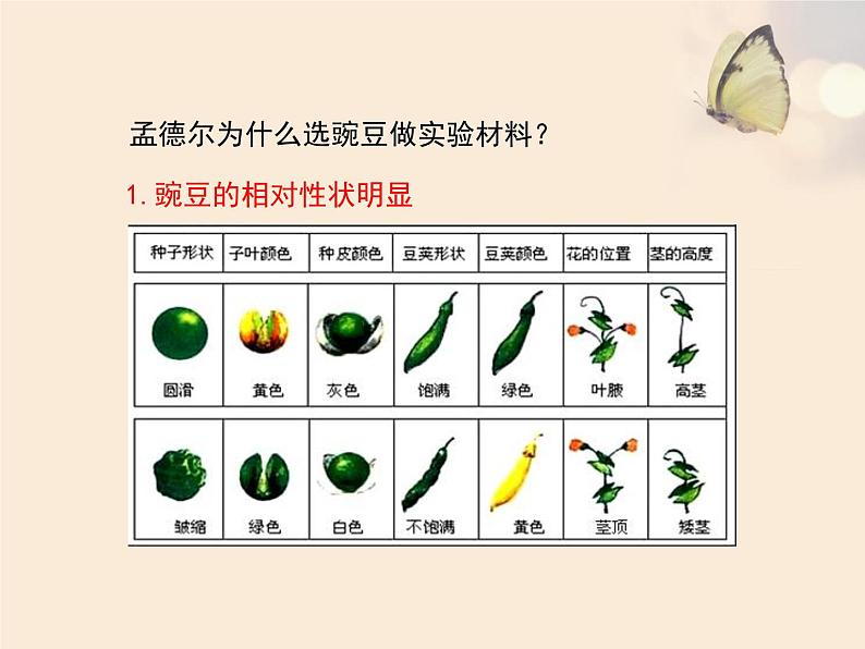 北京版八年级上册生物《生物的性状遗传》第1课时优教课件06