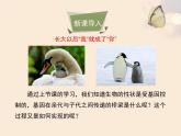 生物的性状的遗传PPT课件免费下载