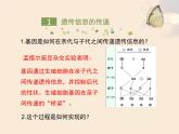 生物的性状的遗传PPT课件免费下载