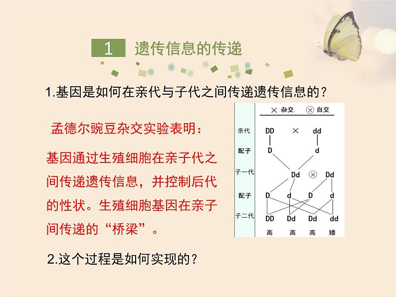 生物的性状的遗传PPT课件免费下载05