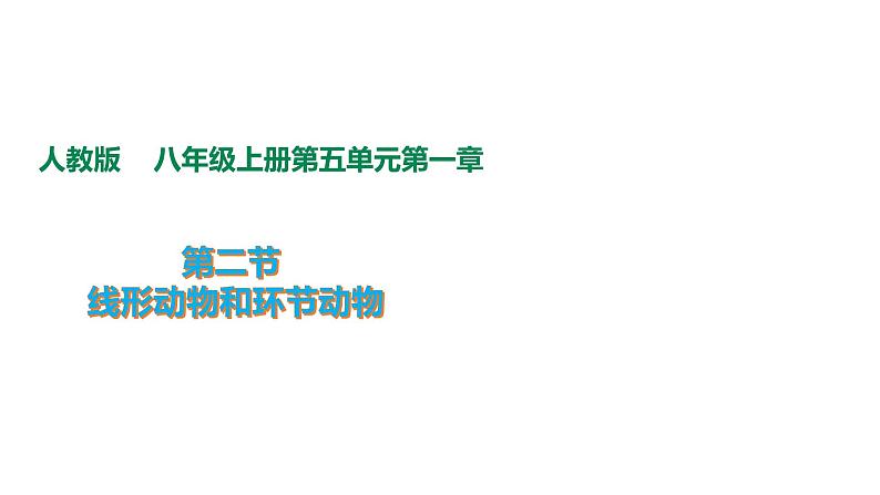 人教版生物八年级上册5.1.2《线形动物和环节动物》课件01