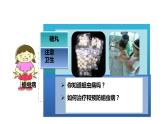 人教版生物八年级上册5.1.2《线形动物和环节动物》课件