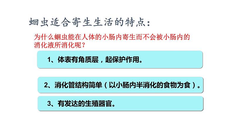 人教版生物八年级上册5.1.2《线形动物和环节动物》课件08