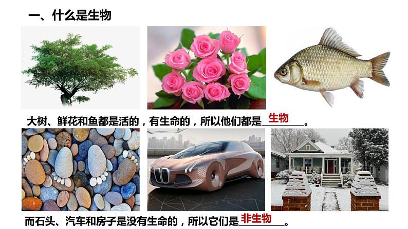 2020-2021七年级生物上册 第一章第1节生物与生物学课件PPT第3页