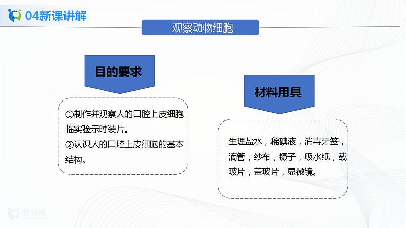 2.1.3《动物细胞》课件第7页