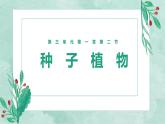 （人教七上）3.1.2 种子植物 by 布林课件PPT