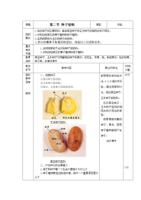 生物七年级上册第二节 种子植物优质教学设计