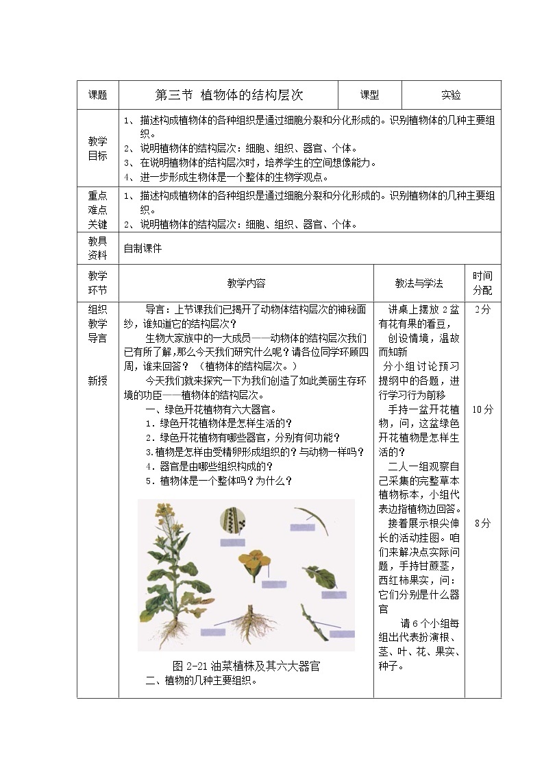 人教版（新课标）七年级生物上册：2.2.3 植物体的结构层次-教案（2）01