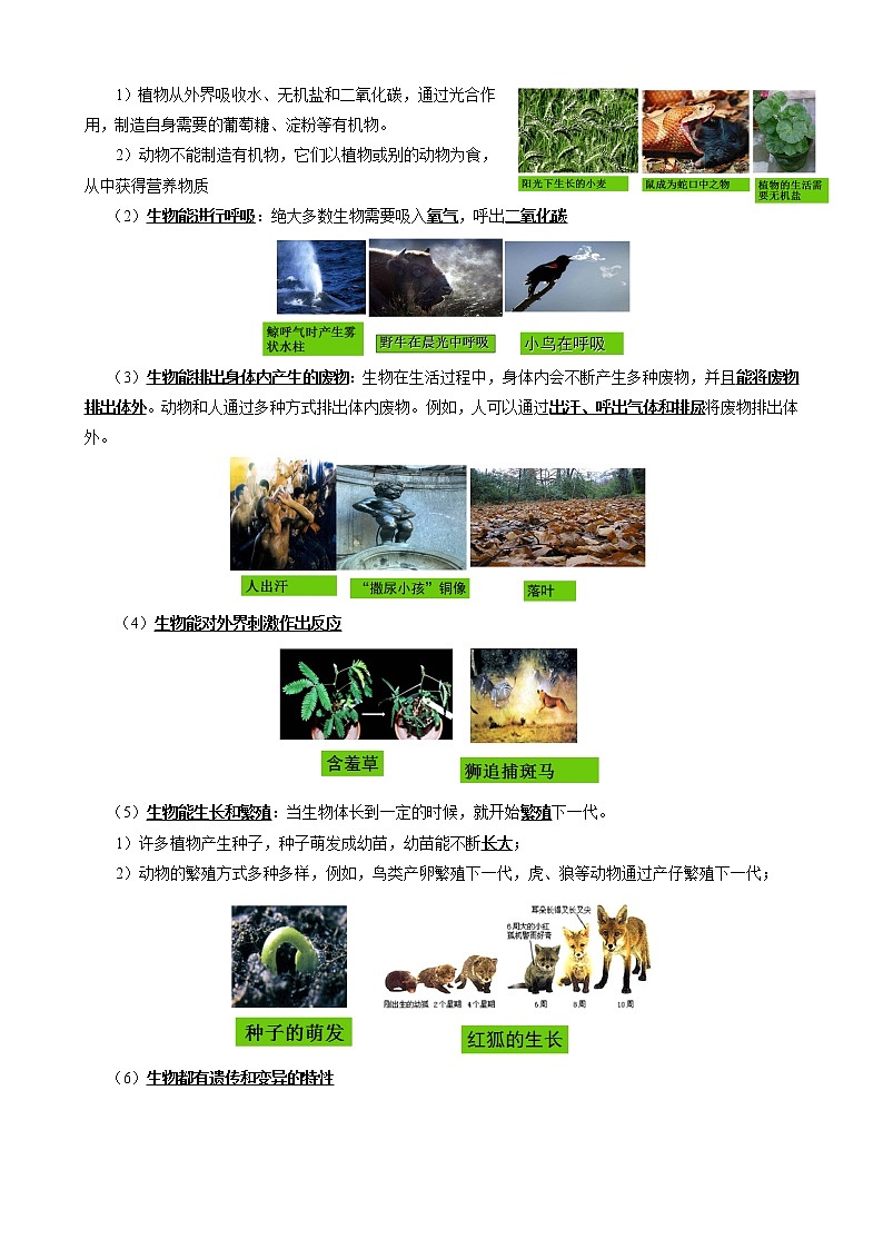 人教版（新课标）七年级生物上册：第一单元 第一章 认识生物（本章复习与测试）-教案02