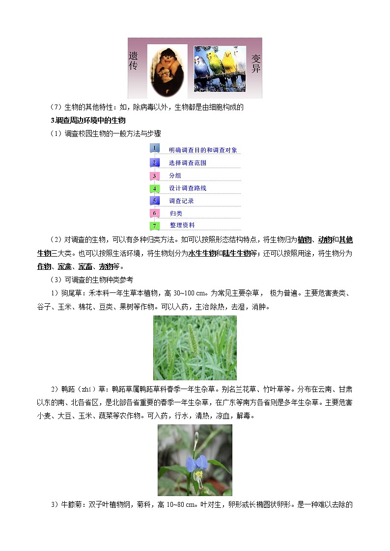 人教版（新课标）七年级生物上册：第一单元 第一章 认识生物（本章复习与测试）-教案03