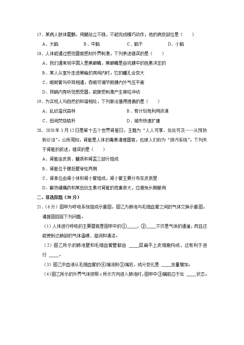 河南省洛阳市洛宁县2020-2021学年七年级下学期期末考试生物试卷（WORD版，含答案）03
