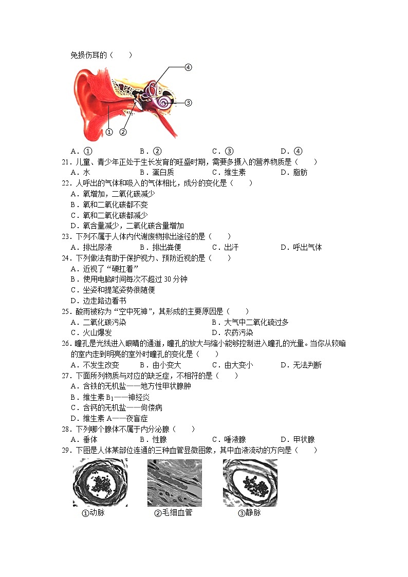 陕西省商洛市商南县富水中学2020-2021学年七年级下学期期末生物试卷(word版含答案)03
