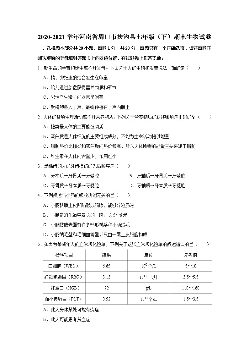2020-2021学年河南省周口市扶沟县七年级下学期期末生物试卷（WORD版，含答案）01