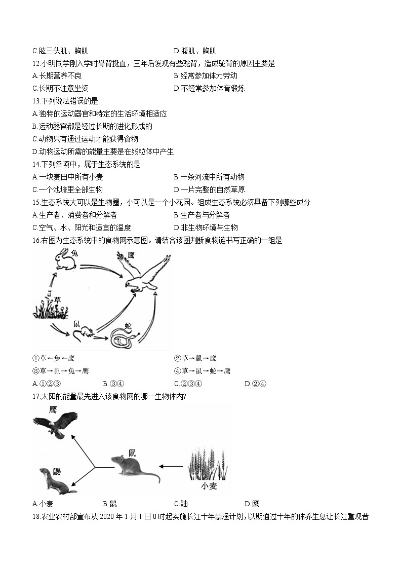 河南省洛阳市嵩县2020-2021学年八年级上学期期末生物试题(word版含答案)第2页