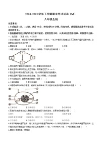 河南省漯河市舞阳县2020-2021学年八年级下学期期末生物试题(word版含答案)