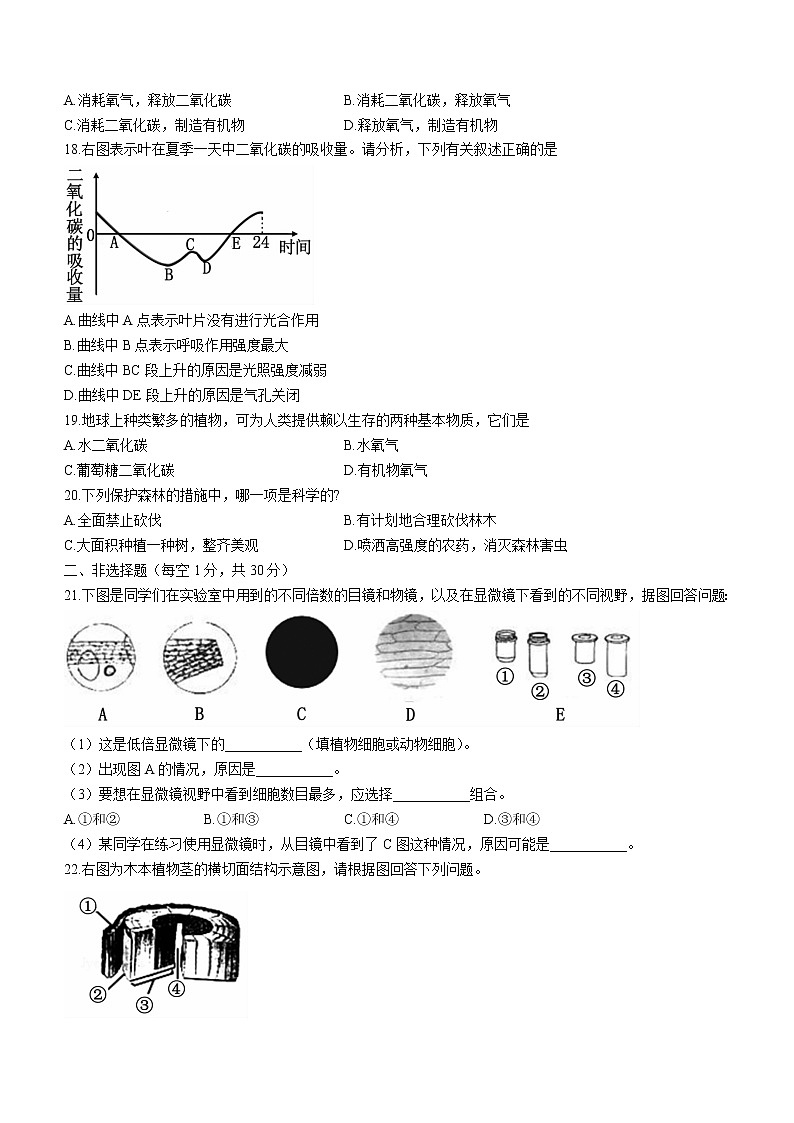 河南省洛阳市嵩县2020-2021学年七年级上学期期末生物试题(word版含答案)03