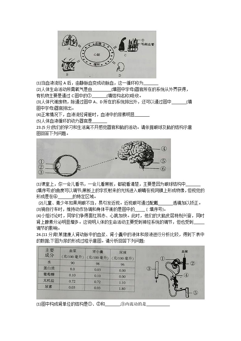 吉林省长春市德惠市2020-2021学年七年级下学期期末考试生物试题(word版含答案)第3页