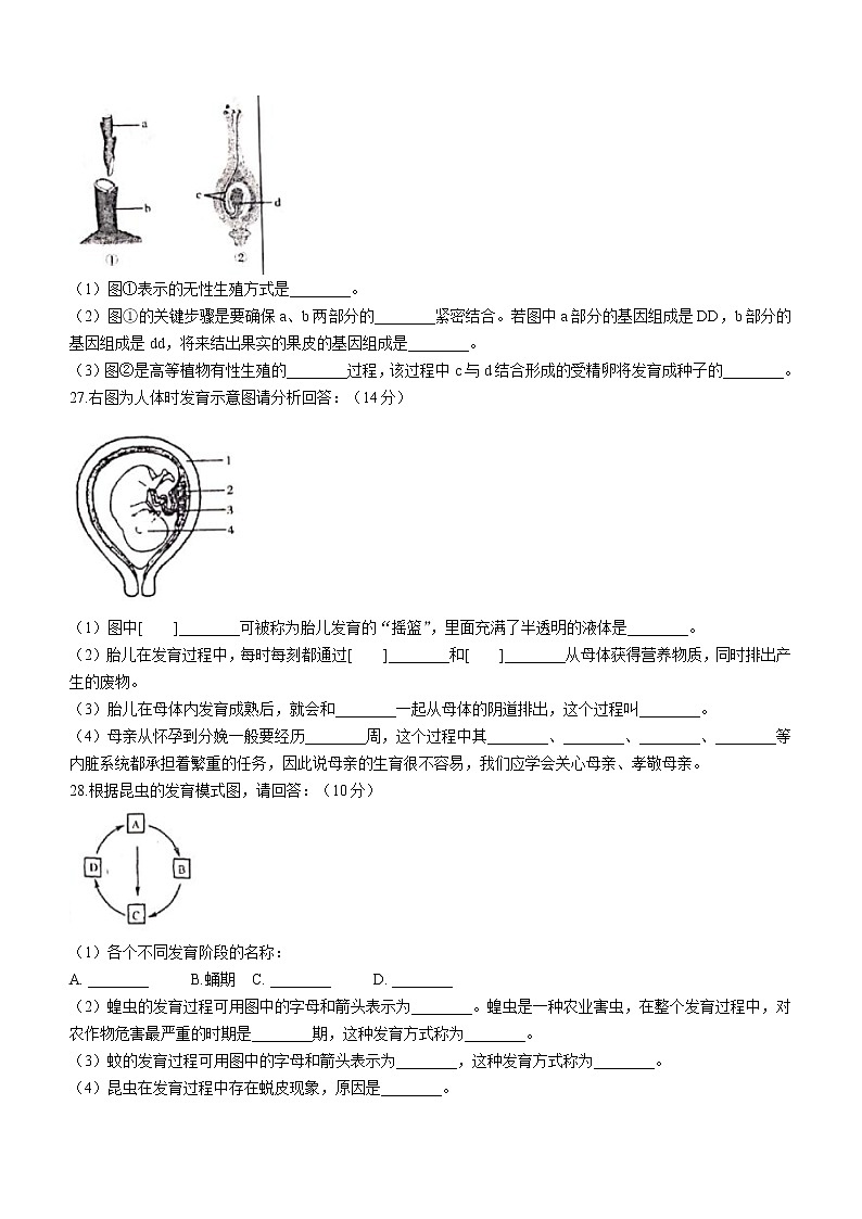 河北省承德市兴隆县2020-2021学年八年级下学期期末生物试题(word版含答案)第3页