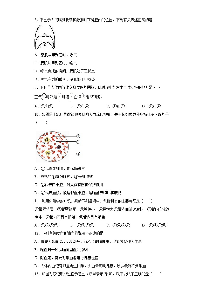 湖南省株洲市攸县2020-2021学年七年级下学期期末生物试题（word版 含答案）第3页