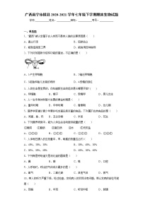 广西南宁市横县2020-2021学年七年级下学期期末生物试题（word版 含答案）