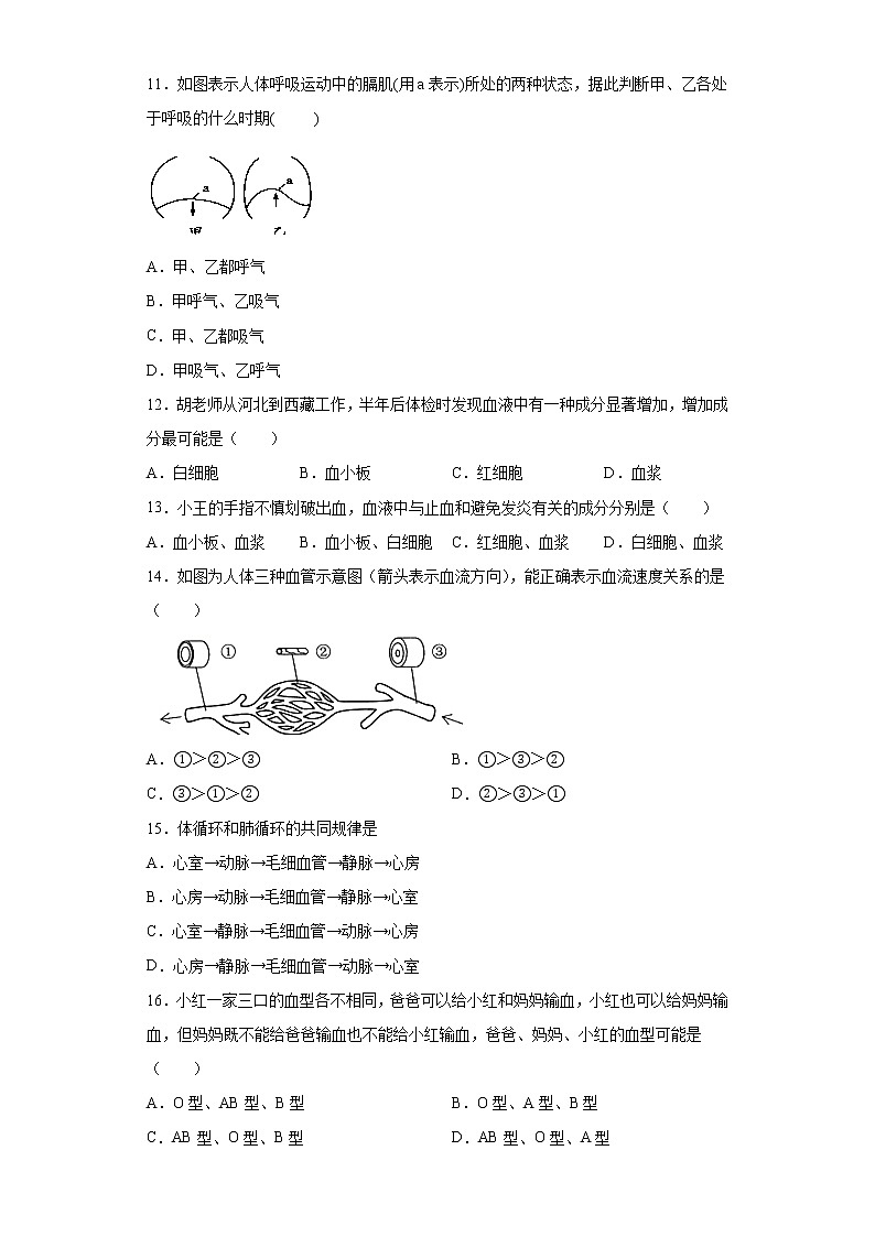 广西南宁市横县2020-2021学年七年级下学期期末生物试题（word版 含答案）第2页