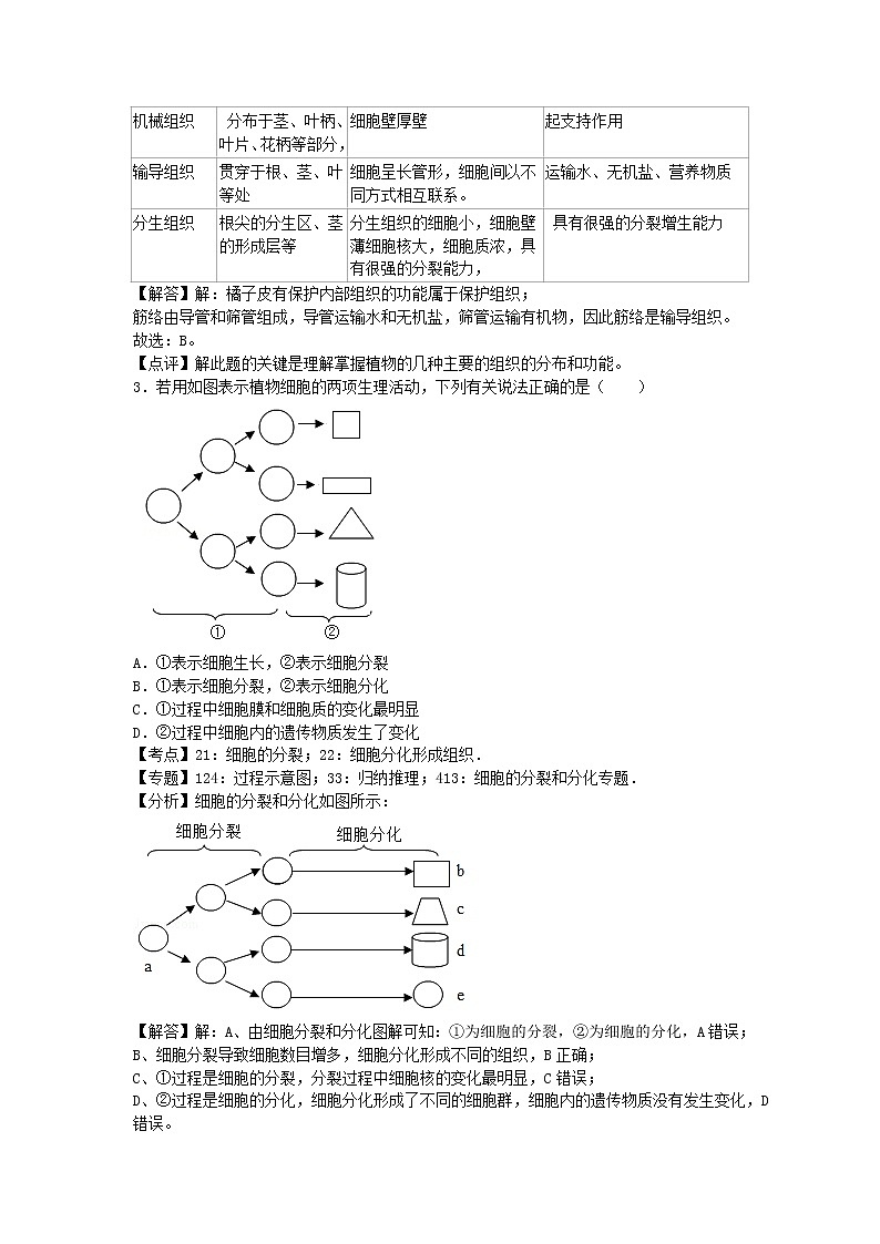 生物济南版七年级上第一单元第二章章末试卷 2第2页