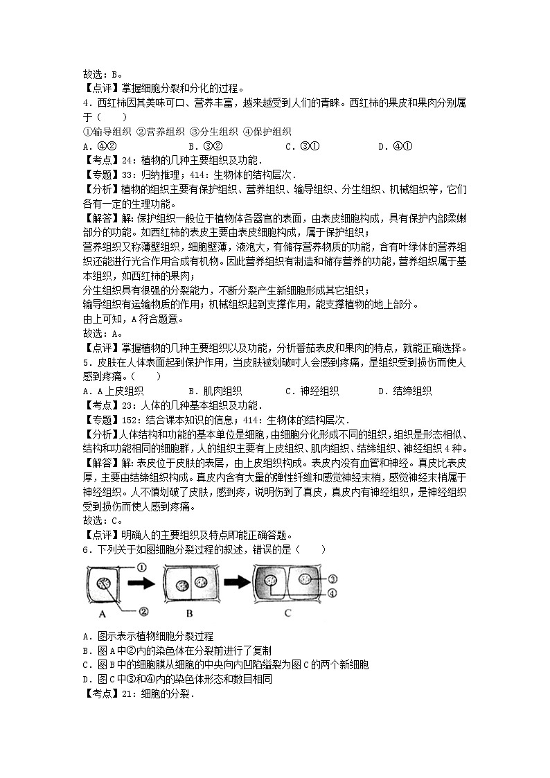 生物济南版七年级上第一单元第二章章末试卷 2第3页
