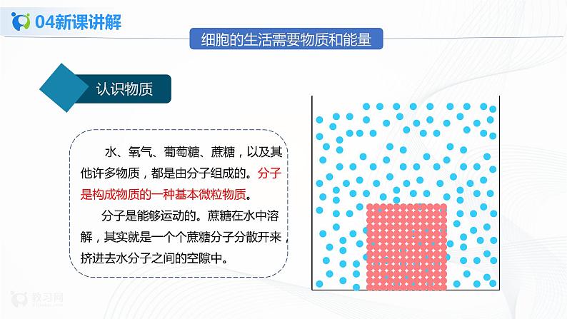 2.1.4 细胞的生活 课件PPT+教案+同步练习06