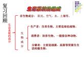 济南版生物八年级下册6.2.2食物链和食物网课件