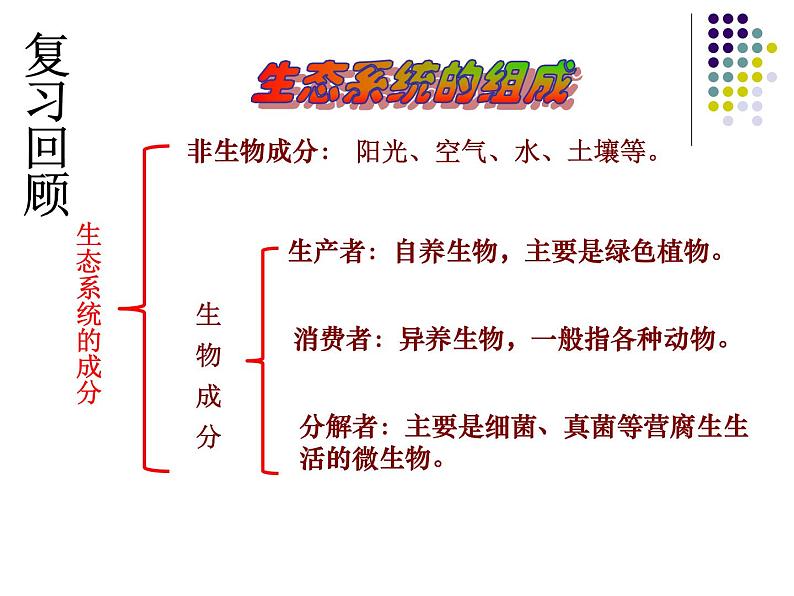 济南版生物八年级下册6.2.2食物链和食物网课件第1页