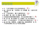 济南版生物八年级下册6.2.2食物链和食物网课件